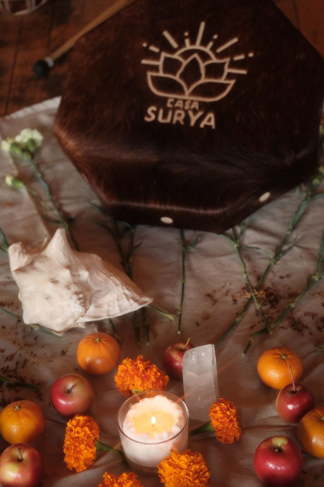 Galería Casa Surya 108