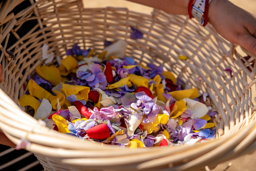 Galería Casa Surya 61