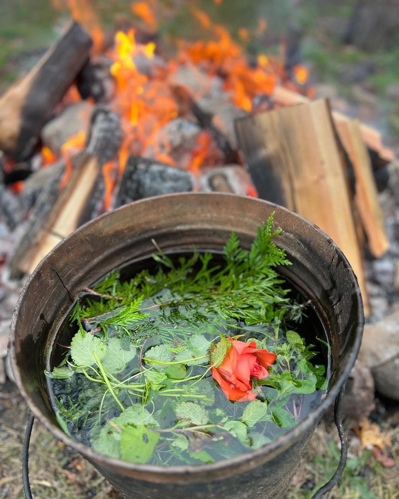 Galería Casa Surya 68