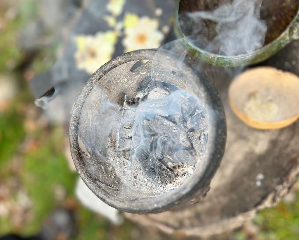 Galería Casa Surya 100