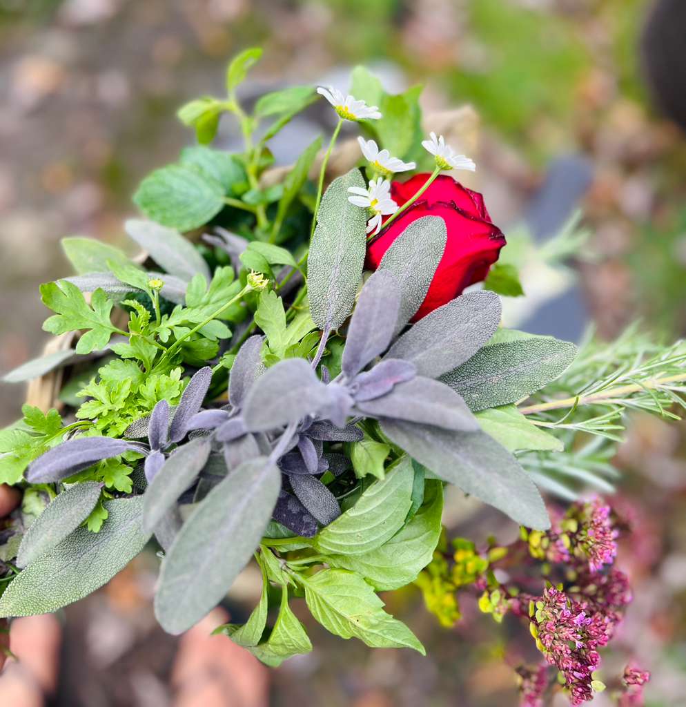 Galería Casa Surya 12