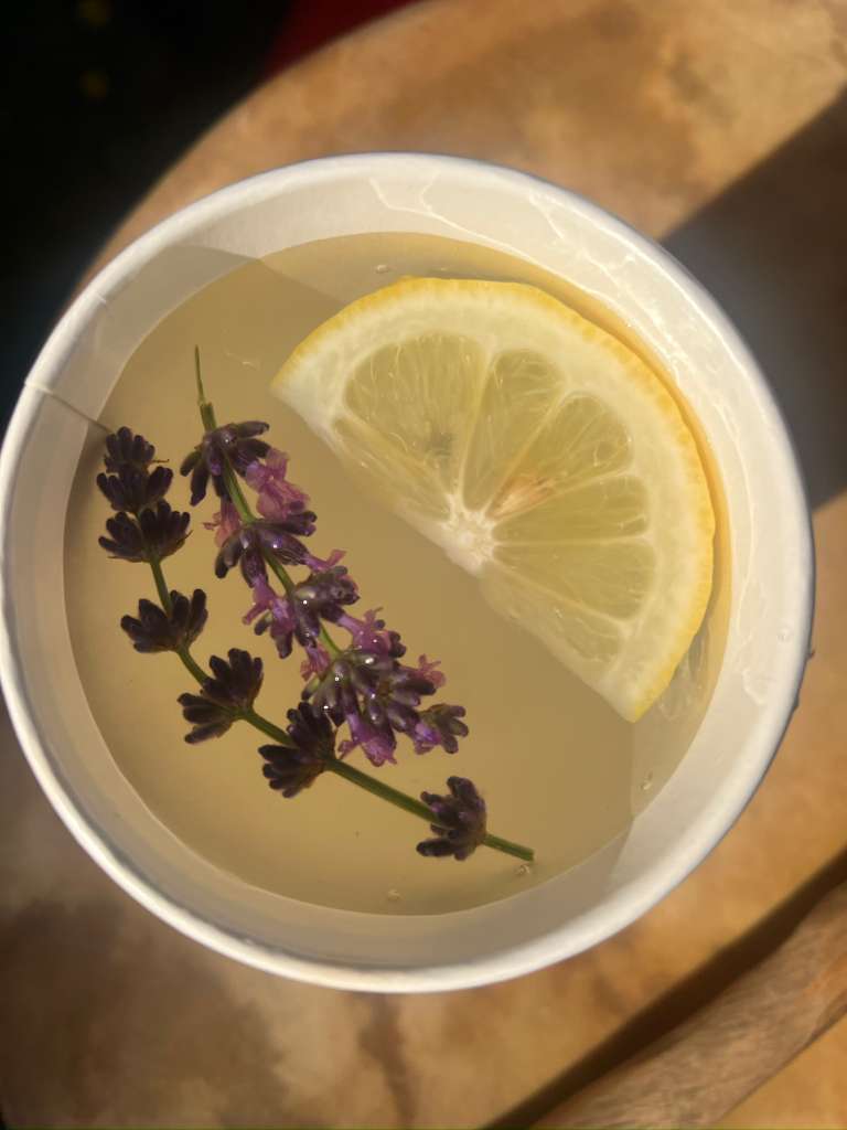 Galería Casa Surya 70