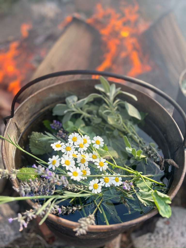 Galería Casa Surya 26