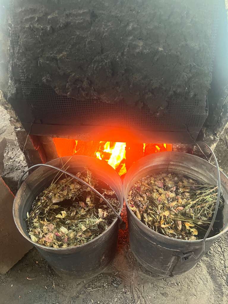 Galería Casa Surya 62