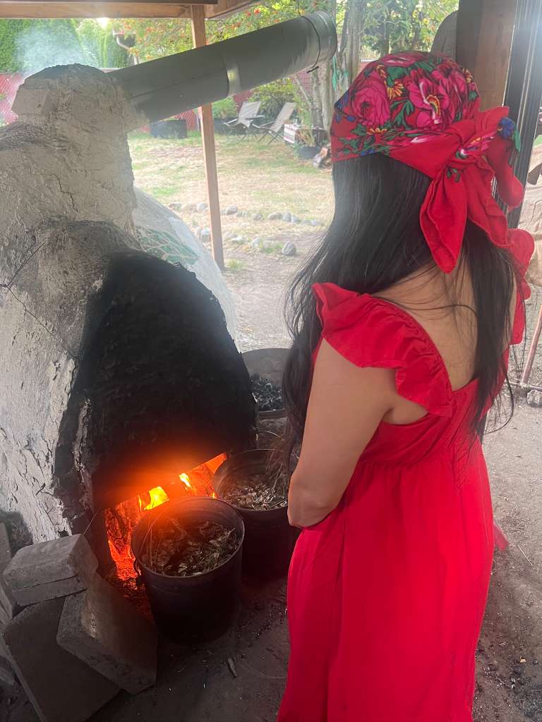 Galería Casa Surya 69