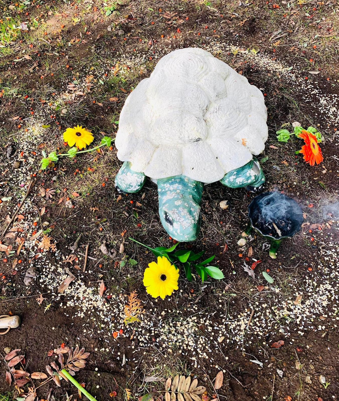 Galería Casa Surya 65